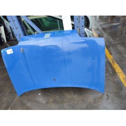 cofano anteriore fiat 500...