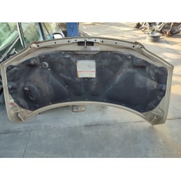 cofano anteriore fiat multipla pos.V2