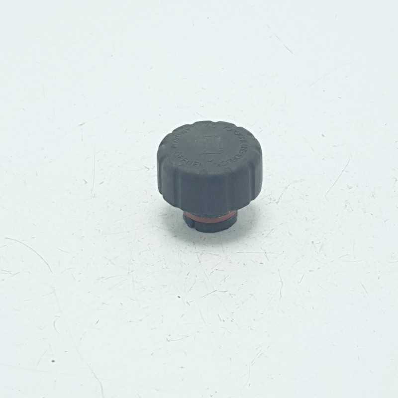 1685010115 tappo serbatoio vaschetta espansione refrigerante Mercedes W168 Classe A 1685010115 tappo serbatoio vaschetta espansione refrigerante Mercedes W168 Classe A