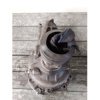 Differenziale anteriore BMW X3 E83 177cv130kw 2004-11 (2010824)pos A0