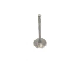 A1020531601 valvola aspirazione motore Mercedes W102 Classe M 