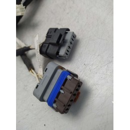 9815421780 Cablaggio impianto elettrico portiera posteriore destra Citroen C3 1.5 YH01 2019