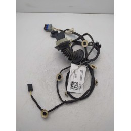 9815421780 Cablaggio impianto elettrico portiera posteriore destra Citroen C3 1.5 YH01 2019