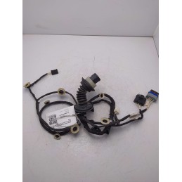 9815421780 Cablaggio impianto elettrico portiera posteriore destra Citroen C3 1.5 YH01 2019