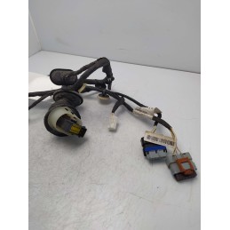 9815421780 Cablaggio impianto elettrico portiera posteriore destra Citroen C3 1.5 YH01 2019