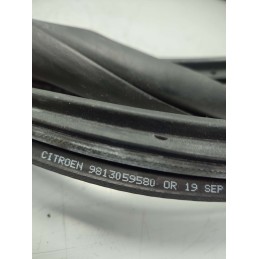 9813059580 guarnizione portiera Citroen C3 1.5 YH01 2019 anteriore destra