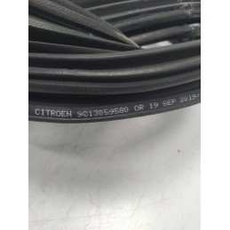 9813059580 guarnizione portiera Citroen C3 1.5 YH01 2019 anteriore sinistra lato guida