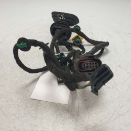 8E1971029AA cablaggio cavi elettrici Audi A4 8E B7 1.9 D 116CV 2005 portiera anteriore sinistra