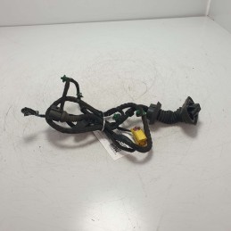 8E1971029AA cablaggio cavi elettrici Audi A4 8E B7 1.9 D 116CV 2005 portiera anteriore sinistra
