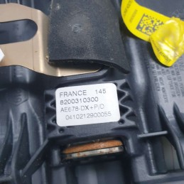 8200310300 airbag volanter guida Renault Megane MK2 2002-06 