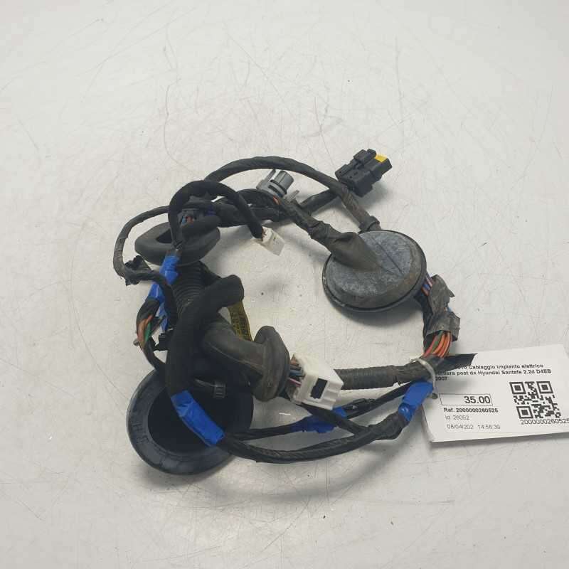 91660-2B010 Cablaggio impianto elettrico portiera post dx Hyundai Santafe 2.2d D4EB 2007