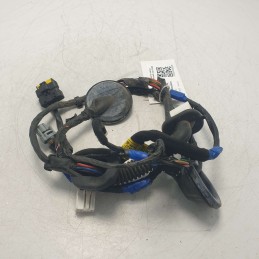 91660-2B010 Cablaggio impianto elettrico portiera post dx Hyundai Santafe 2.2d D4EB 2007
