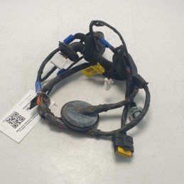 91660-2B010 Cablaggio impianto elettrico portiera post dx Hyundai Santafe 2.2d D4EB 2007
