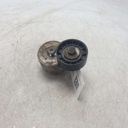 Cuscinetto galoppino guidacinghia Fiat Panda III 199A9000 1.3MTJ 95CV 2012