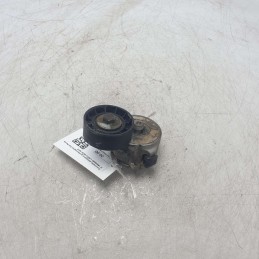 Cuscinetto galoppino guidacinghia Fiat Panda III 199A9000 1.3MTJ 95CV 2012