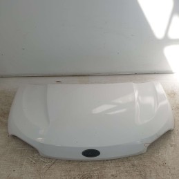 311023 cofano motore...