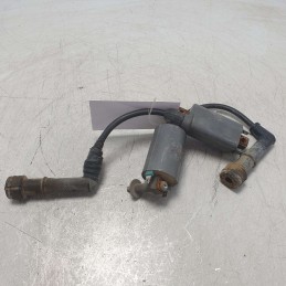 Bobine accensione coppia 2x...