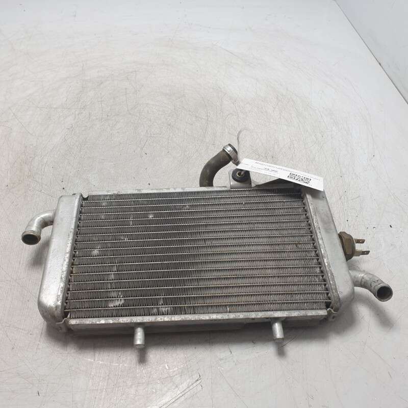 Radiatore acqua raffreddamento motore Piaggio Hexagon 250cc 1999 Alexon