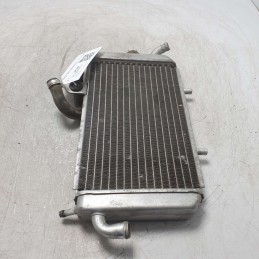 Radiatore acqua raffreddamento motore Piaggio Hexagon 250cc 1999 Alexon
