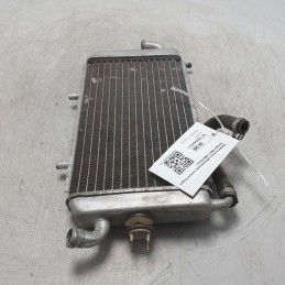 Radiatore acqua raffreddamento motore Piaggio Hexagon 250cc 1999 Alexon