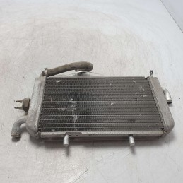 Radiatore acqua raffreddamento motore Piaggio Hexagon 250cc 1999 Alexon