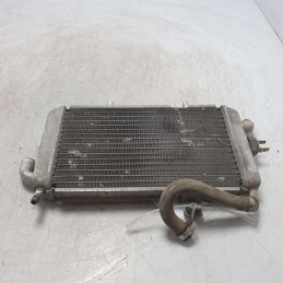 Radiatore acqua raffreddamento motore Piaggio Hexagon 250cc 1999 Alexon