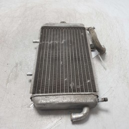 Radiatore acqua raffreddamento motore Piaggio Hexagon 250cc 1999 Alexon