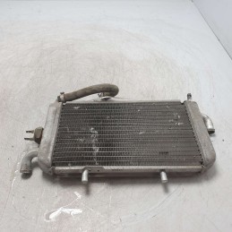 Radiatore acqua raffreddamento motore Piaggio Hexagon 250cc 1999 Alexon