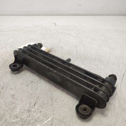denso 124100-1591 radiatore olio YAMAHA RJ01 4BR 600cc 1999 Diversion 