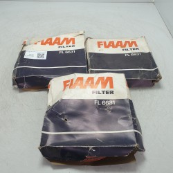 FIAAM FL 6631 Filtro aria...