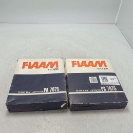 FIAAM PA7075 Filtro aria...