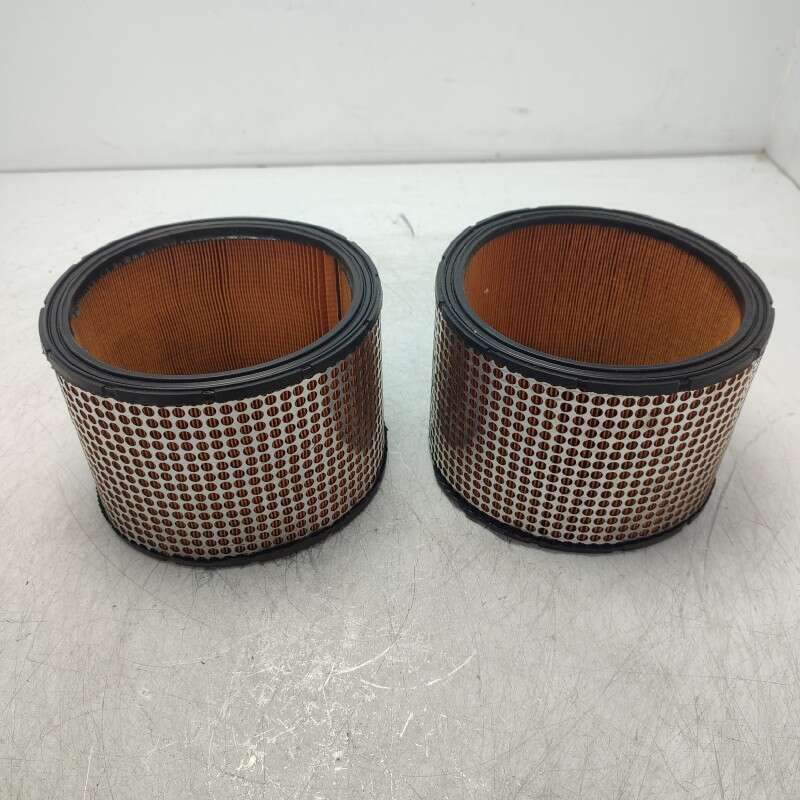 FPA3165 Filtro aria 2xpz Soparis per Renault Export R5 R18 R20 1972-84