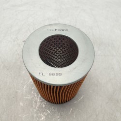 FL6699 filtro aria Fiaam...