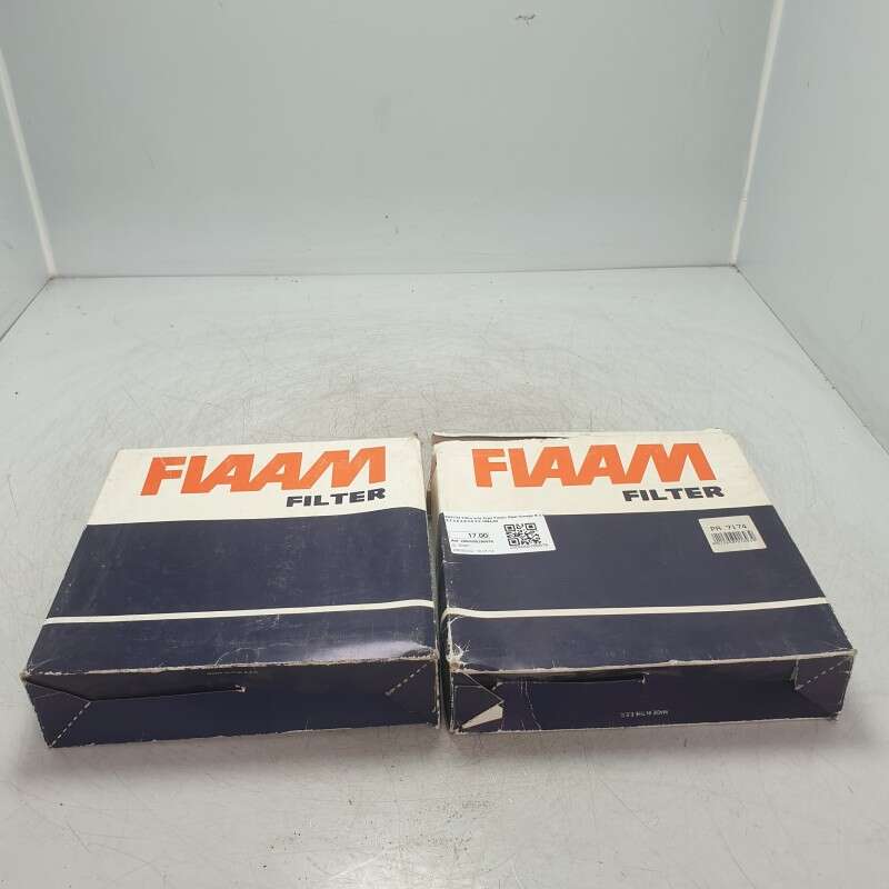 PA7174 Filtro aria 2xpz Fiaam Opel Omega B 2.0 2.2 2.5 2.6 3.0 3.2 1994-03