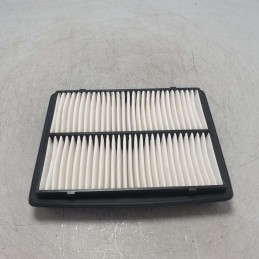 CA6669 FRAM filtro aria Citroen Berlingo Xsara Peugeot 306 Partner