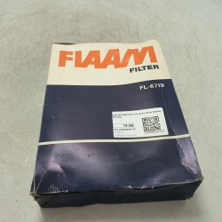 FL6719 FIAAM filtro aria...