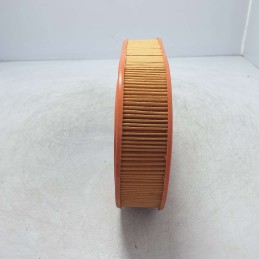 FL6719 FIAAM filtro aria Austin Rover Maestro Montego