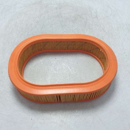 FL6719 FIAAM filtro aria Austin Rover Maestro Montego