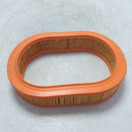 FL6719 FIAAM filtro aria Austin Rover Maestro Montego