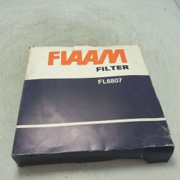 FL6807 FIAAM filtro aria...
