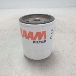 FT5088 filtro olio motore Austin Maestro 1.3 
