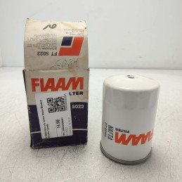 FT5022 filtro olio motore...