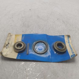 VKBA548 kit cuscinetti anello tenuta ruota post Renault R4 R5 R6 R12 R15 R16 R17 SKF