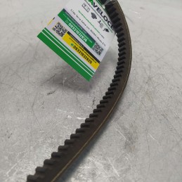 AV13/12.5X1225 Cinghia ausiliare OPTIBELT 