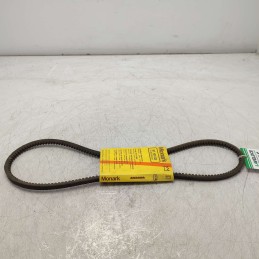 10/9.5X1025 Cinghia ausiliare Land Rover 