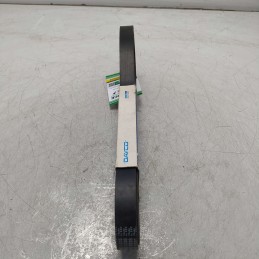 6PK1335 Cinghia servizi ausiliare Dayco Mazda II 1.4CD 2003-06