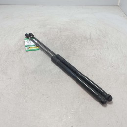 8W9827552 Coppia molle a gas portellone post  Audi A4 B9 Avant S-line  2.0 110 KW 2016 DEU