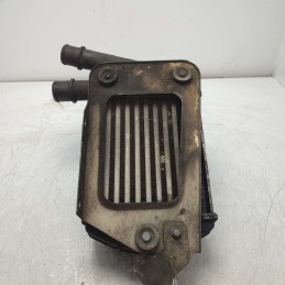 3200219 Intercooler scambiatore aria/aria Fiat Panda 169 1.3mtj 188a8000 2003-12