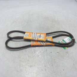 9.5X975 2XPZ Cinghia ausiliare BMW 318i 1981