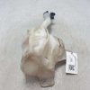 430036418 Vaschetta tanica serbatoio liquido tergi Fiat Grande Punto 2005-14